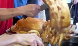 鱿鱼最新爆料视频大全,揭秘幕后真相，精彩瞬间大盘点