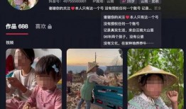 龙岩抖音爆料事件最新,揭秘背后真相与网络舆论风暴