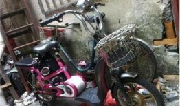 西藏电动车事件最新爆料,揭秘背后真相与影响