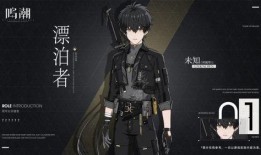 鸣潮爆料最新角色,神秘力量觉醒，战力再升级！