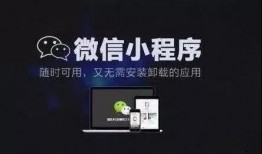 小程序爆料最新要点在哪,核心功能与亮点抢先看