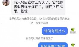 陈女士爆料最新新闻消息,最新新闻事件深度解析