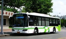 葫芦岛公交车爆料新闻最新,乘客拾金不昧传递正能量